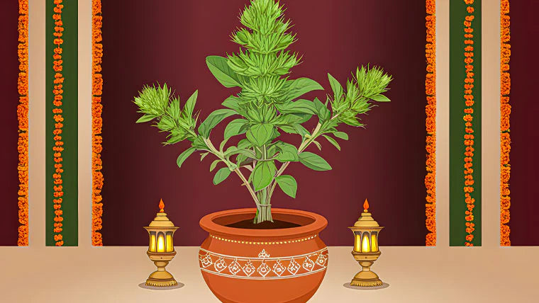 Tulsi Vivah: Significance, Rituals & Traditions